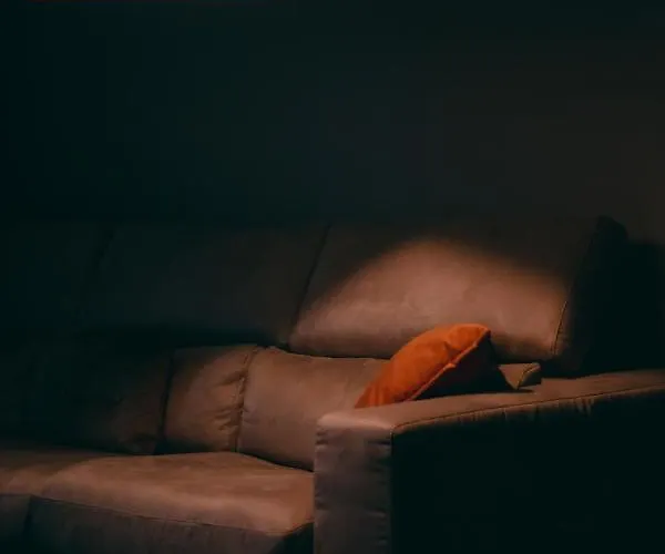 Сasa de vacaciones Ficu Palace *